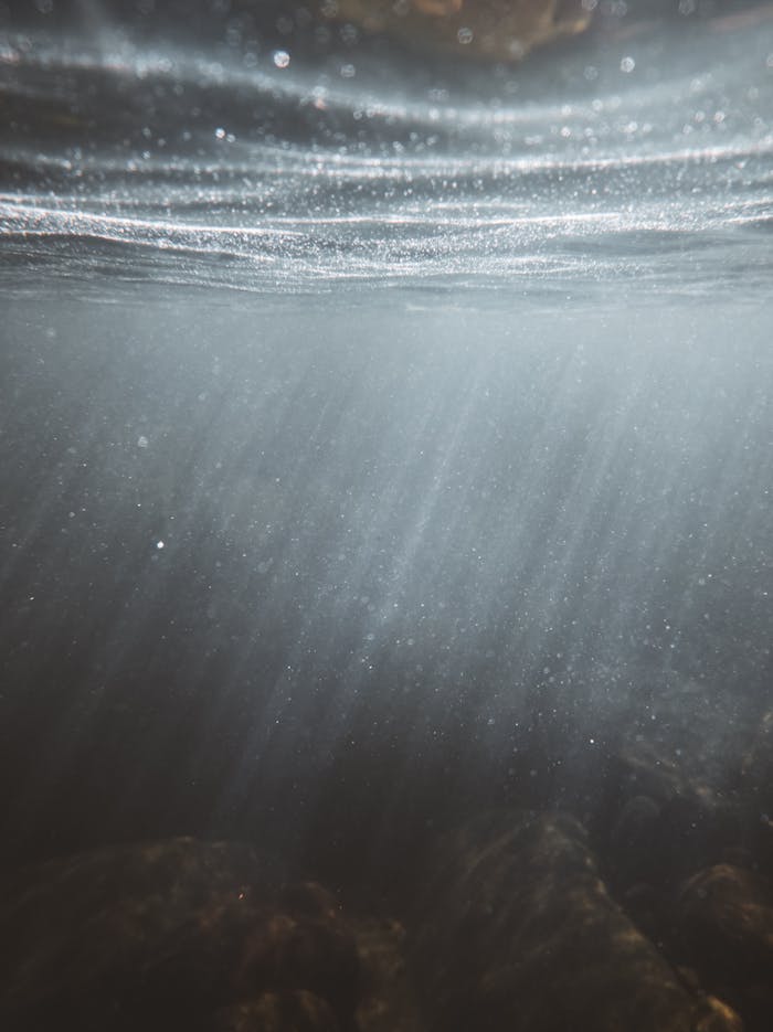 our-services-1 Captivating underwater view with light rays penetrating the ocean surface, creating a peaceful ambiance.
