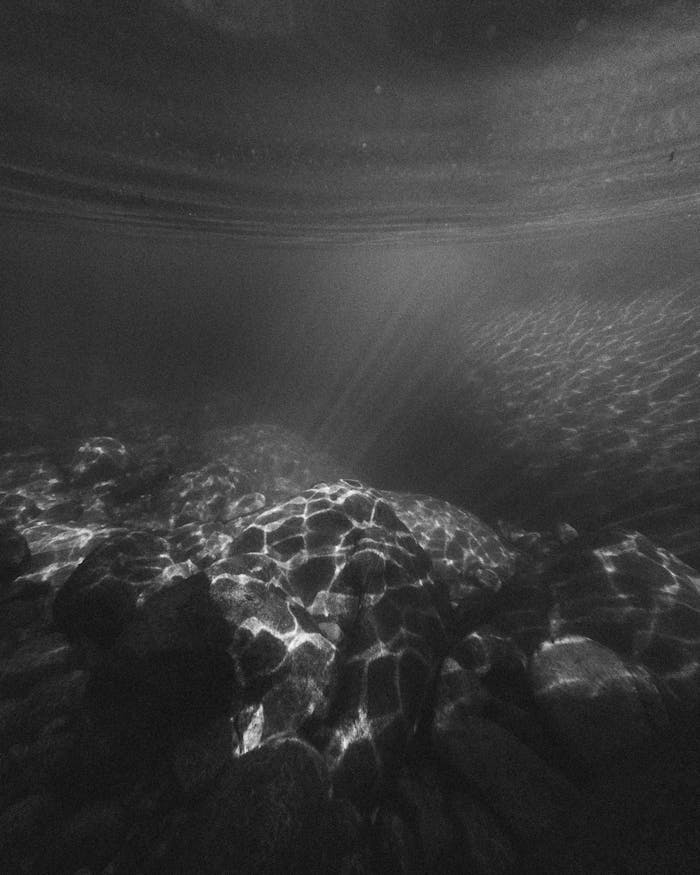 services-01 Captivating black and white underwater photograph of a rocky reef illuminated by sunlight.