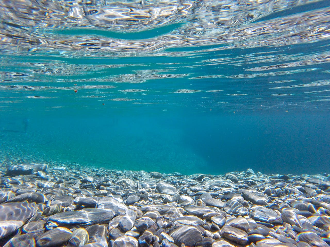 hero-img-01 A clear underwater shot showcasing a rocky ocean floor with vibrant blue waters.