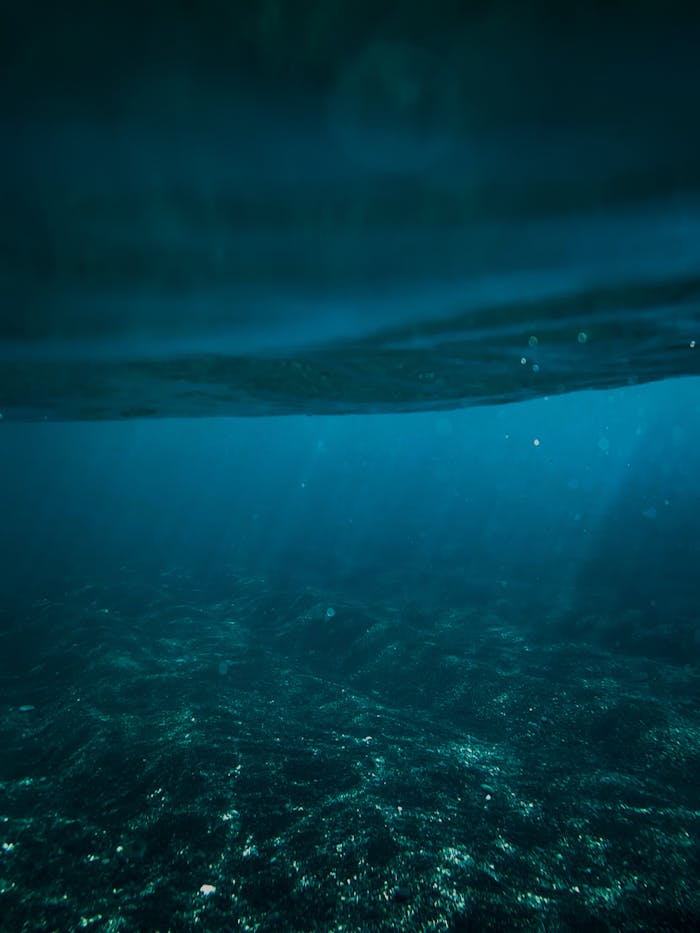 gallery-2 Explore the serene depth of the Spanish ocean with sunlit waters and seabed.